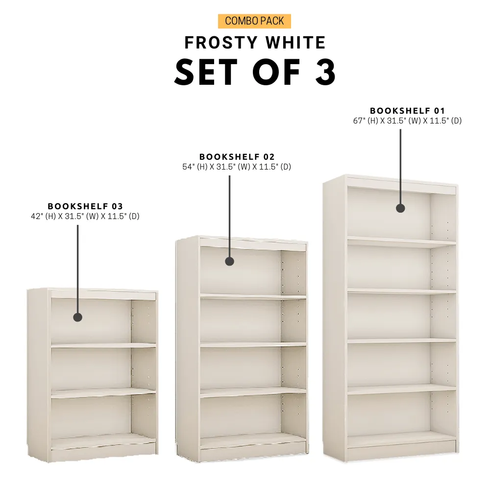 Alpha Bookcases Shelves, Set of 3, Trendy Book Shelf In Frosty White Finish