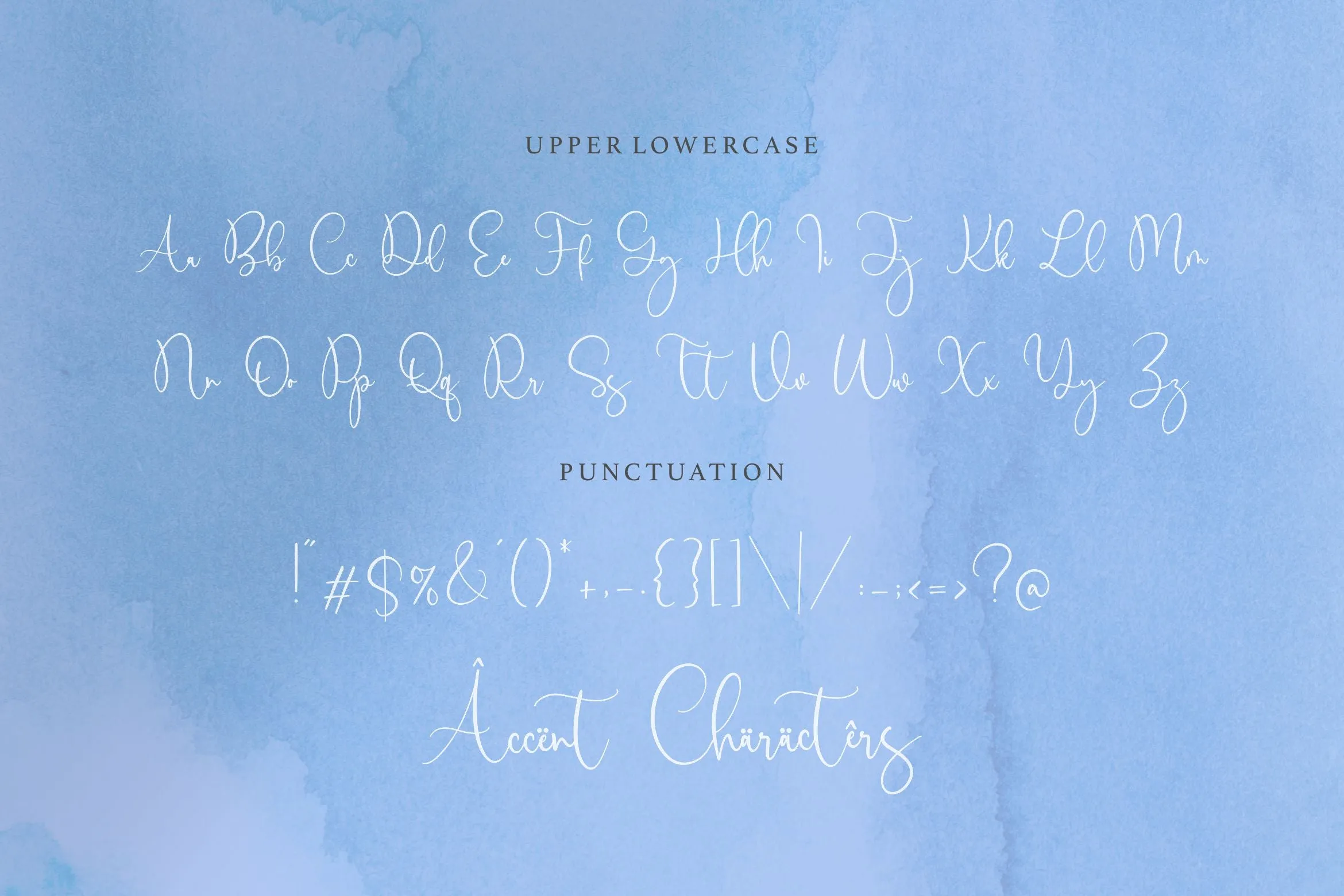 Birdwatch is a Luxury Modern Calligraphy Font