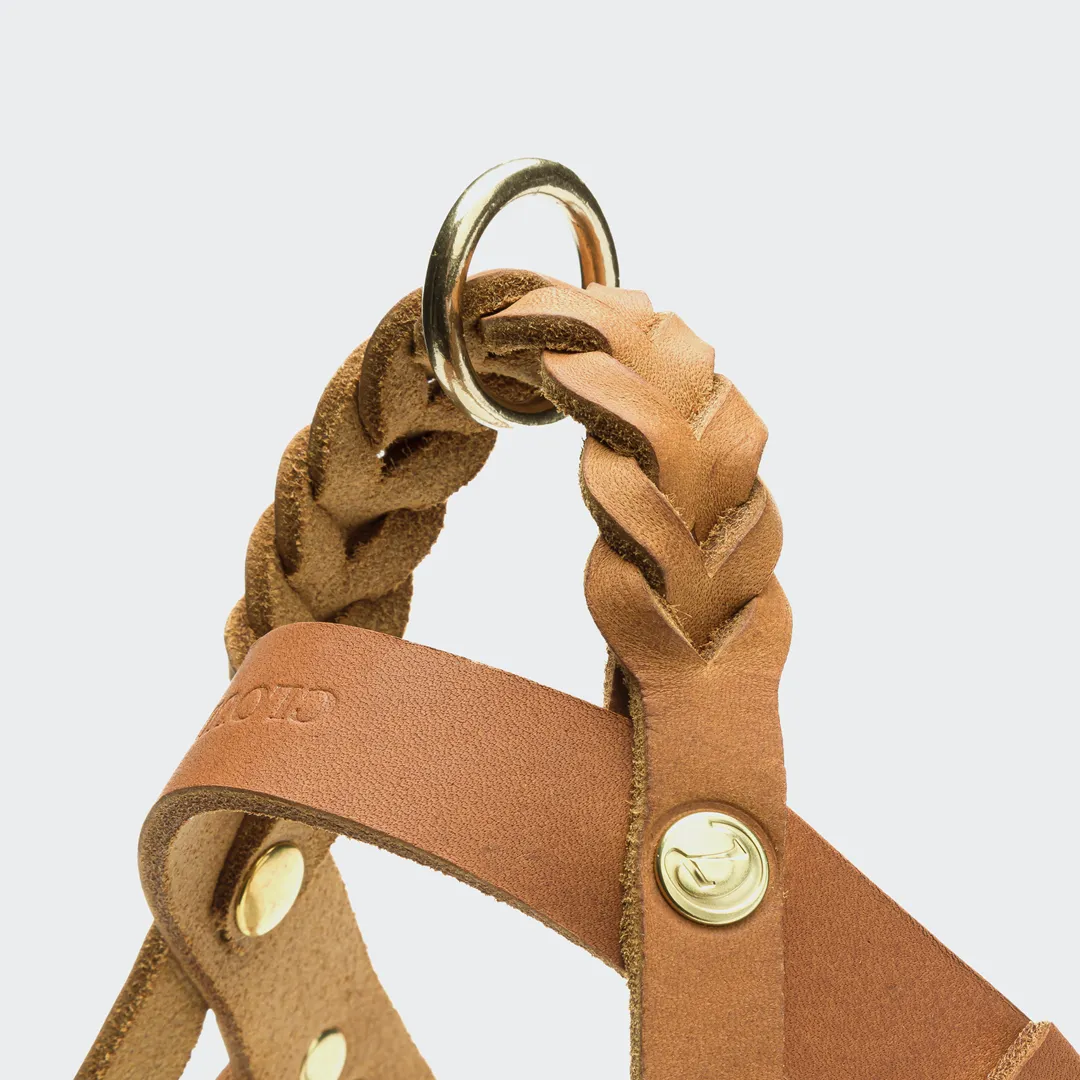 Cloud7: Central Park Leather Dog Harness, Camel with Gold Hardware