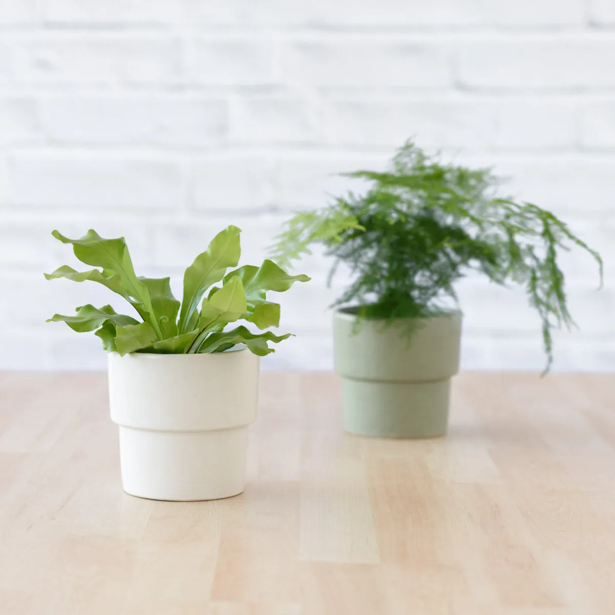 Flo Planter - Sage Green