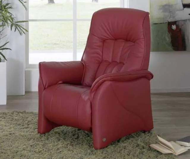 Himolla Cumuly Rhine Large Electric Armchair