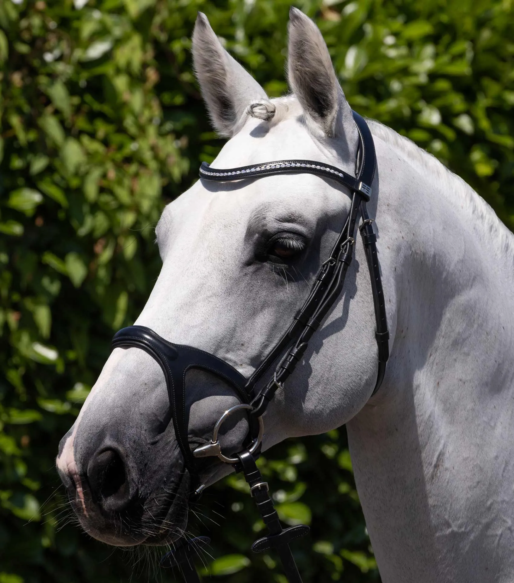 San Paolo Anatomical Bridle Black