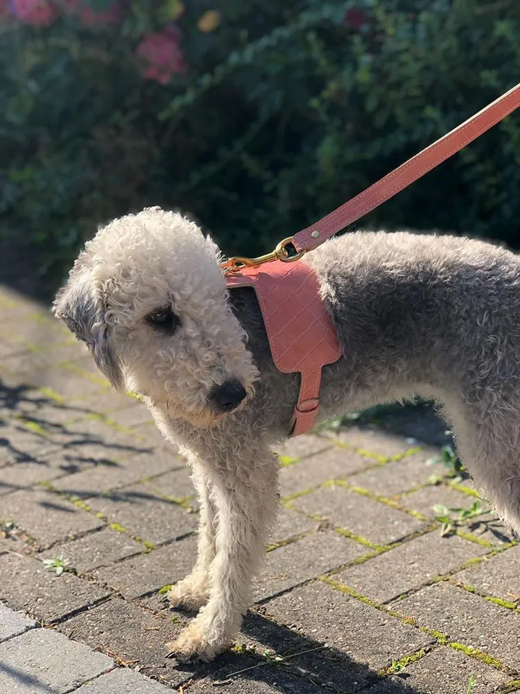 Willow Walks adjustable leather harness with croc effect in sage green